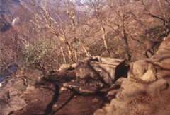 Water Supply