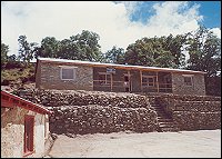 New Primary School